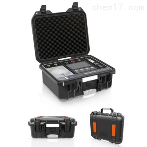 手提式多组分气体检测仪器